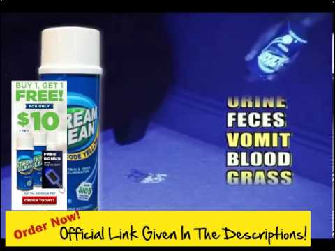 how to get blood out of carpet