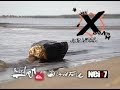 Kalajoki X-Games Wakeboard Jam Sessions