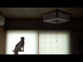 グリコジャンプシリーズ