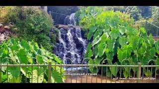 مسار الجنة المخفية في شمال الحولة قرية الخصاص מלון הגושרים