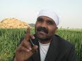 Yaar Punjabi