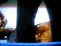 Manny Fernandez kills Invader III