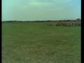 Monty Python -But the hobby I enjoyed most was racing pigeon