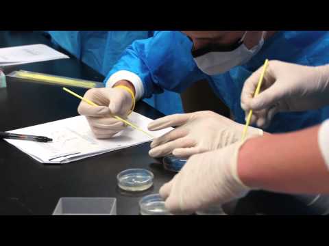 how to isolate e.coli from soil