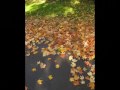 this is plattsburgh Autumn.wmv