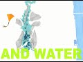 anchors/convection