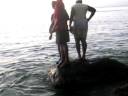 Sea Lion in Tantan Dominica - Part 1