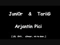 Arjantin Pici