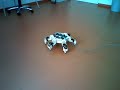 Hexapod is running