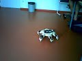 Hexapod is running