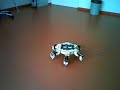 Hexapod is running