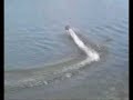 Powercat Magic Carbon - The wildest Racing Boat