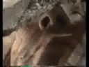 Deltoya - Extremoduro [ Canalgrupos.com ]