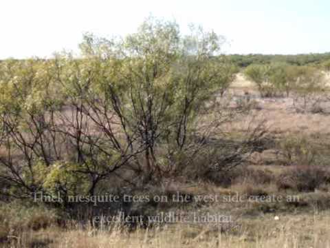 Whitetail Deer Hunting!