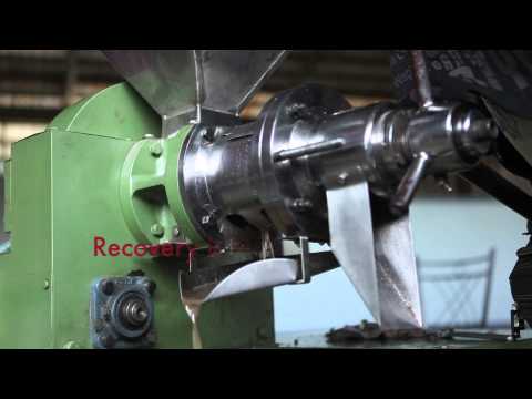 how to extract oil from a coconut