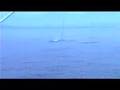 Bikini Chicks Catch Tuna plus Dorado Action
