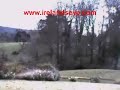 Leprechaun webcam one day time lapse