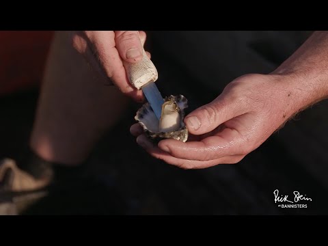 Ralston Bros. Oysters | Rick Stein at Bannisters