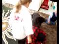 Do Newfies Protect Children? He came back! Attempt # 2