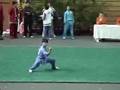 Forma Taolu Oficial de Wushu Chan Chuan