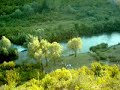 ?ikotina la?a