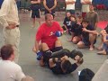 fedor emelianenko seminar