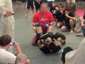 Fedor Emelianenko Seminar
