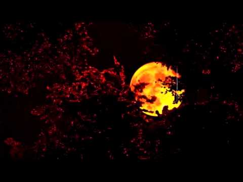 Vid�o de Gilles Caillot