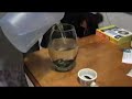 Jumping Fish