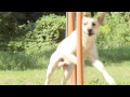 AGILITY