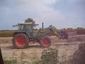 nel campo di patate del gigio