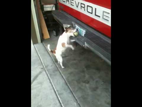 how to get trailer hitch off