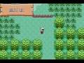 Pokemon-Emerald-Game