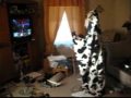 Cow man episode IV