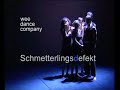 Schmetterlingsdefekt
