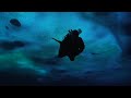 To Dive Beneath the Ice In Antarctica