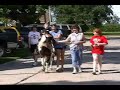 Horseback Riding Horseback Riding