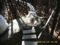 Summer o8 Biking.wmv
