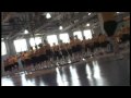Navy Racks - Boot Camp