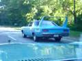 Following a Petty Blue Superbird up Robert Moses Parkway