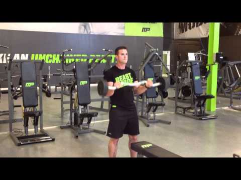 Reverse Curls