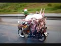 funny pics part 16 funny pics part 16