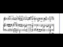 This study video is NOT presented for the voices. First, the merged countertenor and soprano voices are not the high quality of an Andreas Scholl or a Gundula Janowitz. Second, Their imprecise technique, breathiness, phrasing, scooping, and vibrato are contrary to the qualities required of this castrato aria written by Riccardo Broschi for his brother Carlo. What this soundtrack does demonstrate very clearly is the expected Baroque style of added ornamentation and performer interpretation departing from the basic ABA musical score, especially in the da capo section. A keyboard / vocal transcription is provided along with the audio track so that the viewer can perceive those departures from the score, especially in the repeated theme. sfkcbf Idaspe, by Riccardo Broschi (1698-1756). Darios aria, Act II, Scene XI. Ombra fedele anchio / Sul margin di Lete / Seguir volIdol mio / Che tanto adoro. // Che bella pace e questa / Cha consolar sen resta / Il mio martoro. // (repeat theme)/// As a faithful shade, I too / On the banks of Lethe / Will follow my idol / Whom I adore. // What lovely peace is this / That alone can console / My suffering. // (repeat theme.