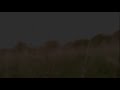 Trailer - Baixada de Capim - TOM PORTO