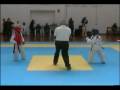 Taekwondo-Black-Tige