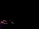 Alica Keys LIVE-if i aint got you