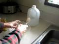 natural probiotics kefir