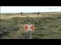 Falklands minefields tackled 08.02.12