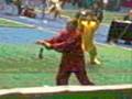 III Campeonato del Mundo de Wushu, taiji quan