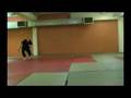 Urbanstunts short sampler